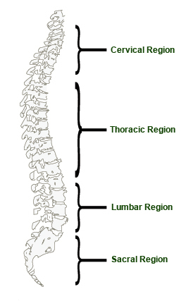 About Chiropractic Aside Image